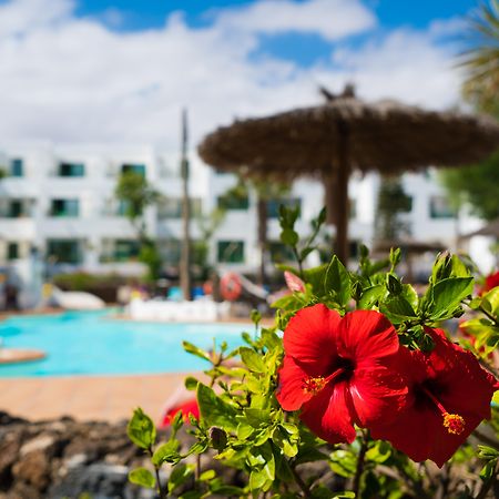 Apartamentos Galeon Playa Costa Teguise Eksteriør bilde